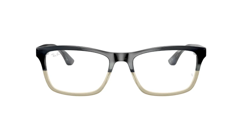 Ray-Ban Unisex Grey Horn