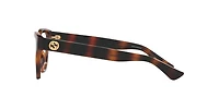 Gucci Woman Tortoise