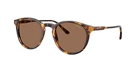 Polo Ralph Lauren Man Havana