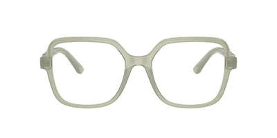 Dolce&Gabbana Woman Milky Green