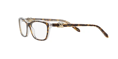 Tiffany Woman Havana On Transparent