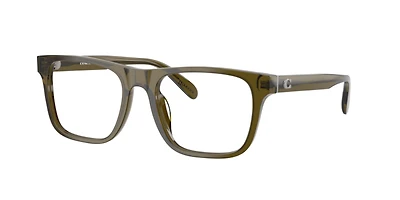 Coach Man Transparent Olive