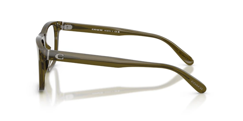 Coach Man Transparent Olive