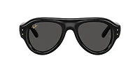 Ray-Ban Unisex Black