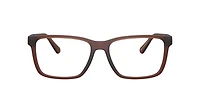 Coach Man Matte Transparent Brown