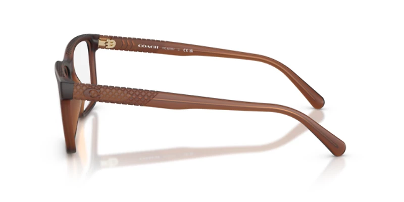 Coach Man Matte Transparent Brown
