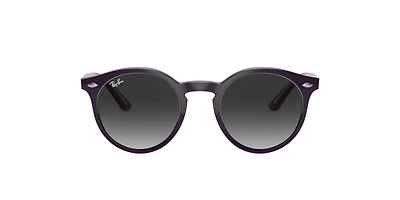 Ray-Ban_Lenses Unisex Violet
