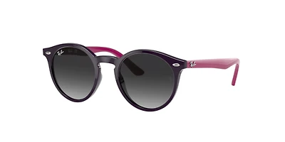Ray-Ban_Lenses Unisex Violet