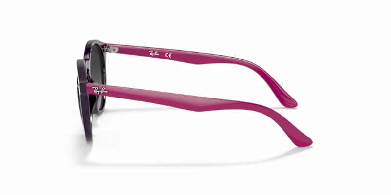 Ray-Ban_Lenses Unisex Violet