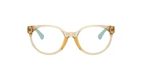 Polo Ralph Lauren Unisex Shiny Transparent