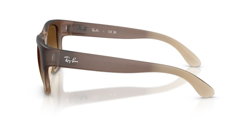 Ray-Ban Unisex Demi Gloss