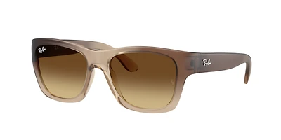 Ray-Ban Unisex Demi Gloss