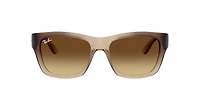 Ray-Ban Unisex Demi Gloss