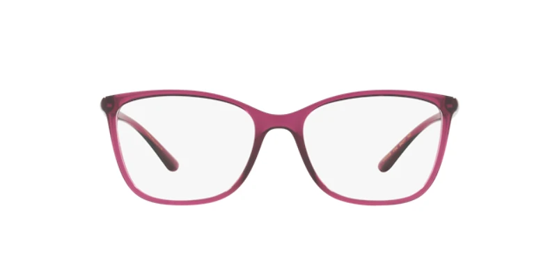 Dolce&Gabbana Woman Transparent Dark Cherry