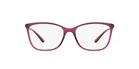 Dolce&Gabbana Woman Transparent Dark Cherry
