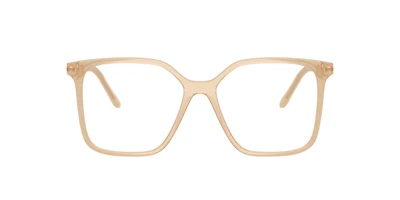 Armani Exchange Woman Shiny Opal Tundra