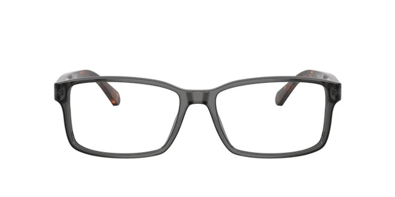 Polo Ralph Lauren Man Shiny Transparent Grey