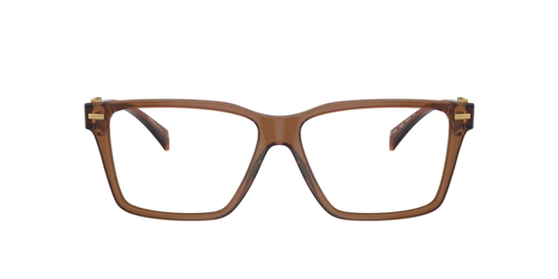 Versace Woman Transparent Brown