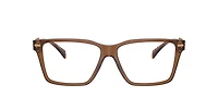 Versace Woman Transparent Brown