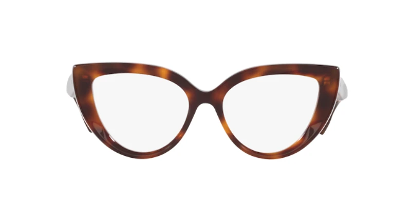 Gucci Woman Tortoise