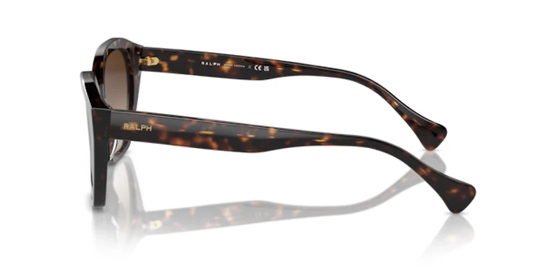 Ralph by Ralph Lauren Woman Shiny Dark Havana