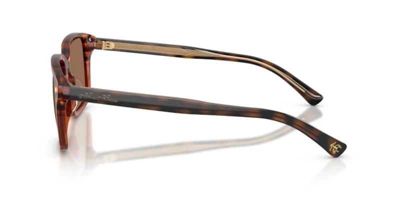 Brooks Brothers Man Brown