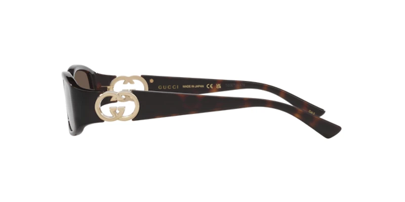 Gucci Woman Tortoise