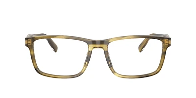 Coach Man Striated Olive