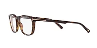 Tom Ford Man Tortoise