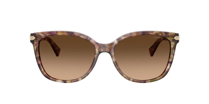 Coach Woman Tortoise