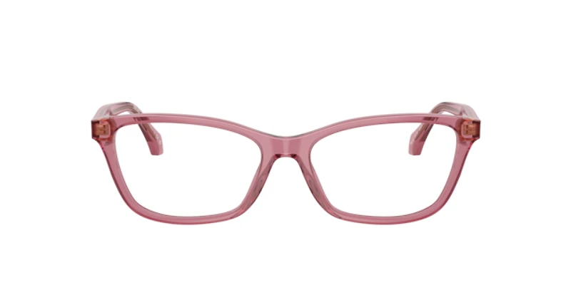 Versace Woman Transparent Amarena