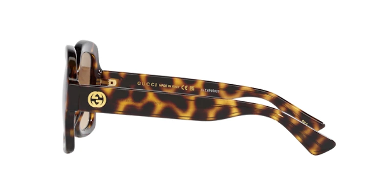 Gucci Woman Tortoise