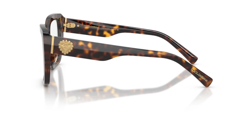 Dolce&Gabbana Woman Havana