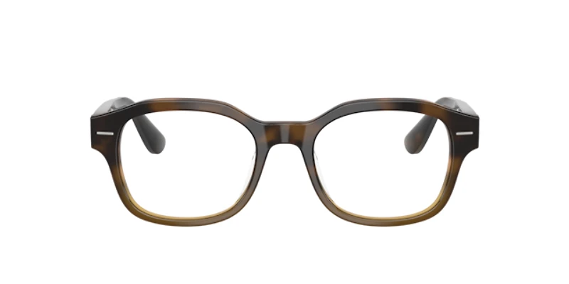 Brunello Cucinelli Man Havana Ivy