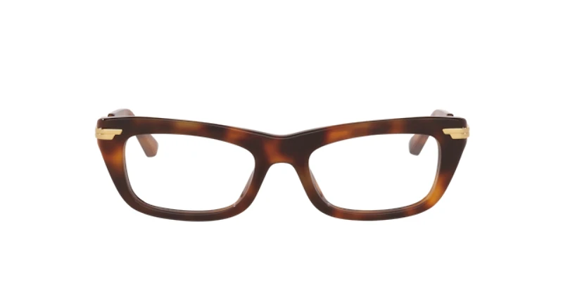 Bottega Veneta Woman Tortoise