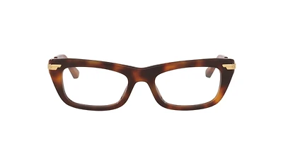 Bottega Veneta Woman Tortoise