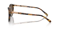 Ralph Lauren Man Antique Havana
