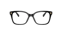 Ralph by Lauren Woman Shiny