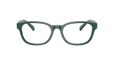 Polo Ralph Lauren Man Shiny