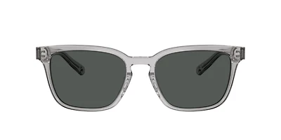Brooks Brothers Man Grey Transparent