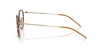 Oliver Peoples Unisex Gold, Tuscany Tortoise