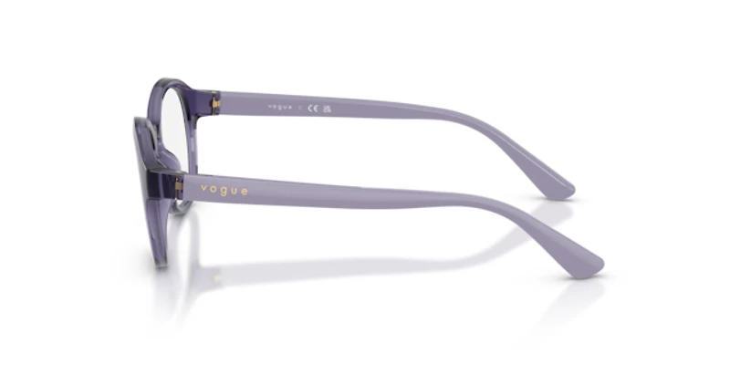 Vogue Unisex Transparent Violet