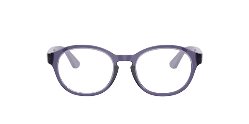 Vogue Unisex Transparent Violet