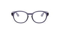 Vogue Unisex Transparent Violet