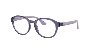 Vogue Unisex Transparent Violet