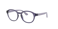 Vogue Unisex Transparent Violet