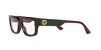 Gucci Woman Tortoise