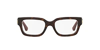 Gucci Woman Tortoise