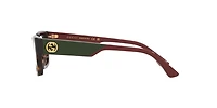 Gucci Woman Tortoise