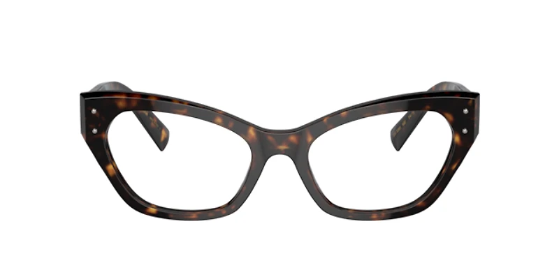 Dolce&Gabbana Woman Havana